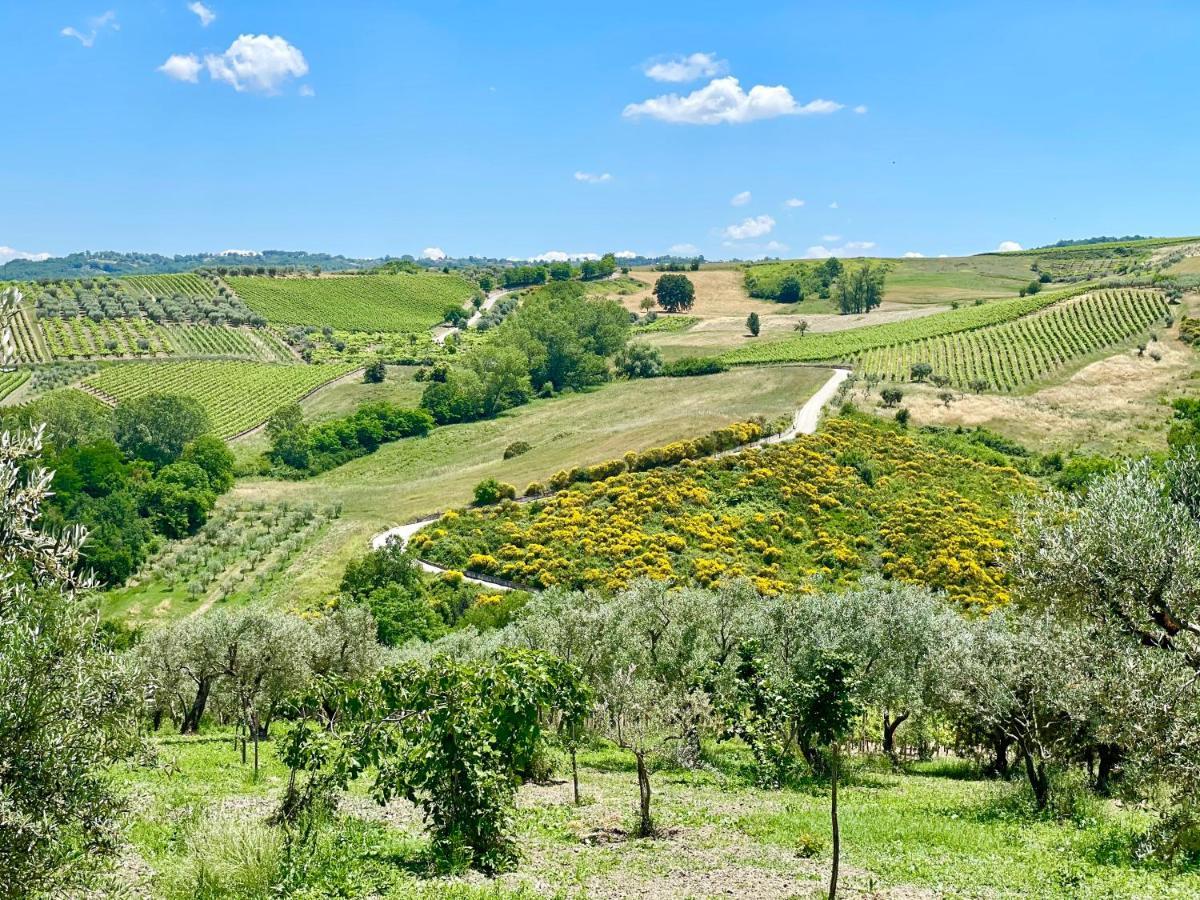 Agriturismo Le Masciare Paternopoli Экстерьер фото
